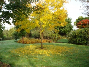 Op arboretum Op arboretum
