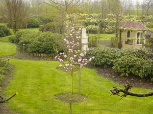 Magnolia Heaven Scent Magnolia Heaven Scent