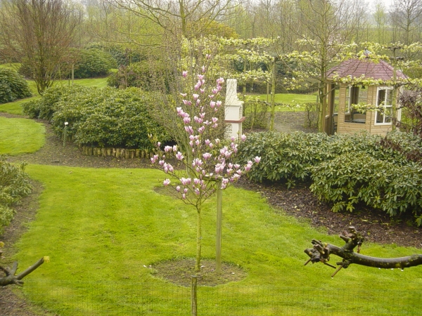 Magnolia Heaven Scent