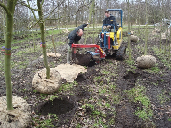 Kluiten rooien